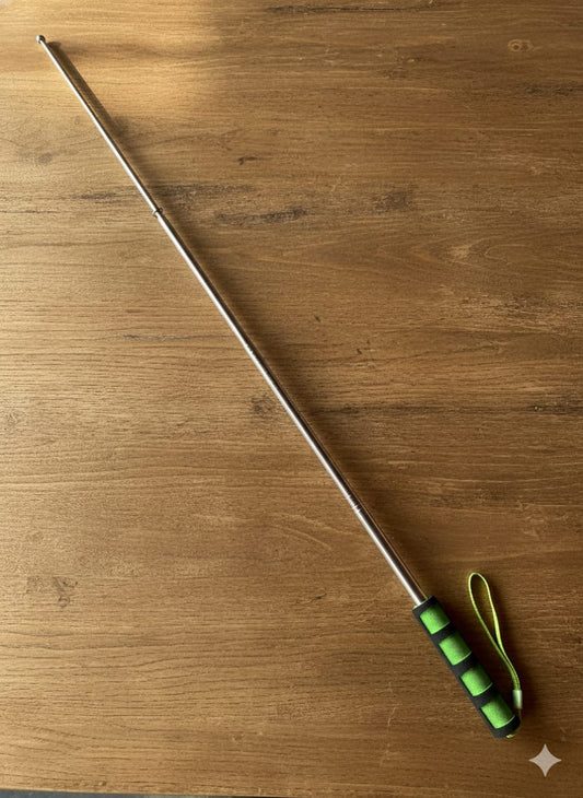 Teacher pointer