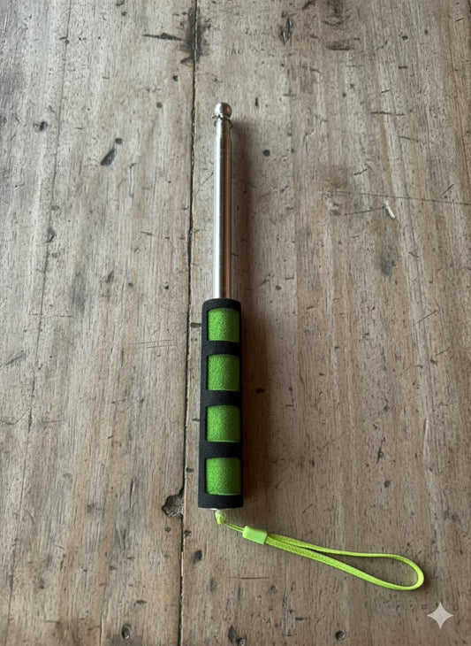 Teacher pointer